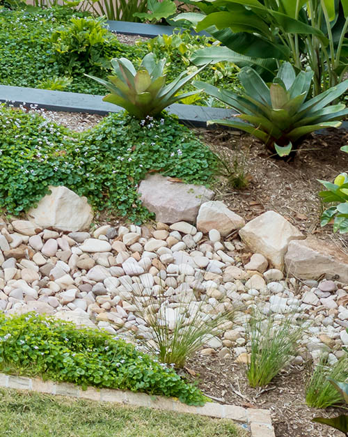 Dry creek bed design