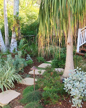 Coastal native low maintenance style