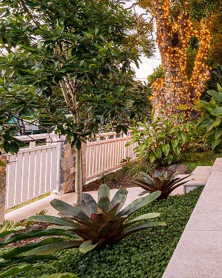 Statement entrance garden