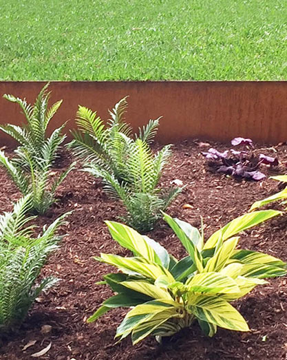 Corten steel edging with Sir Walter natural turf and Windsor synthetic turf