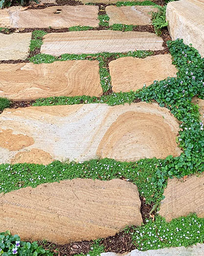 Stamdstone block paving with lush ground cover at residential entrance